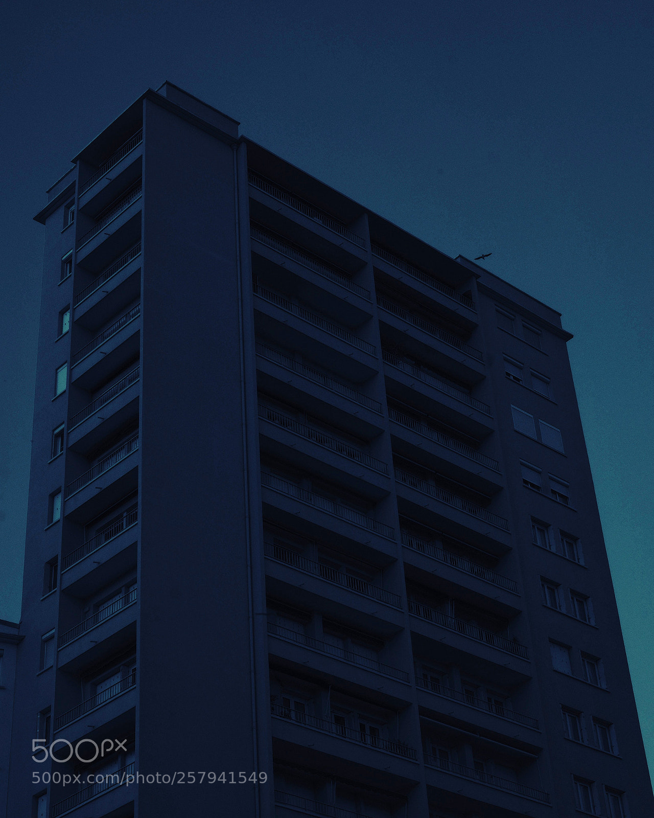 Fujifilm X-Pro1 sample photo. Untitled photography
