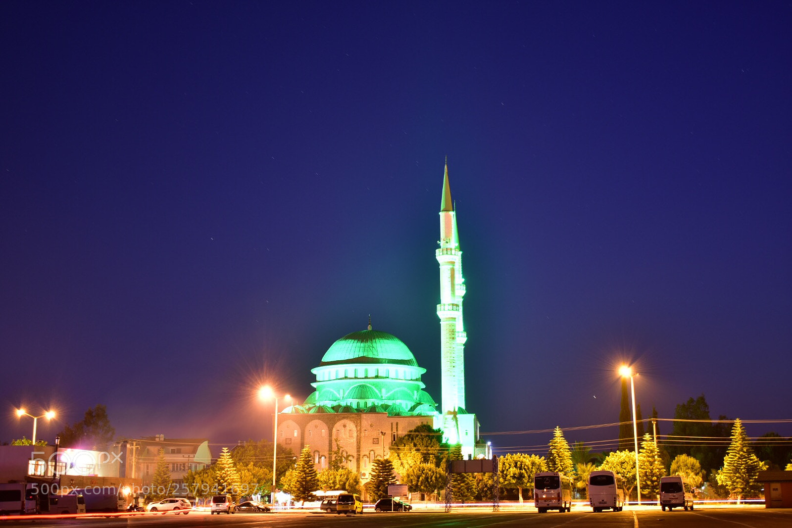 Nikon D3400 sample photo. Green mosk photography