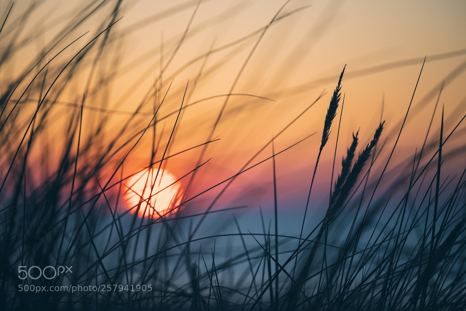 Canon EOS 6D Mark II sample photo. The classic photography
