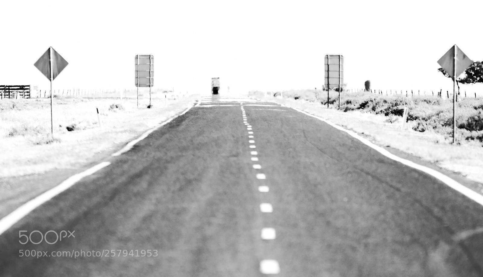 Canon EOS 7D Mark II sample photo. Long road - walgett photography