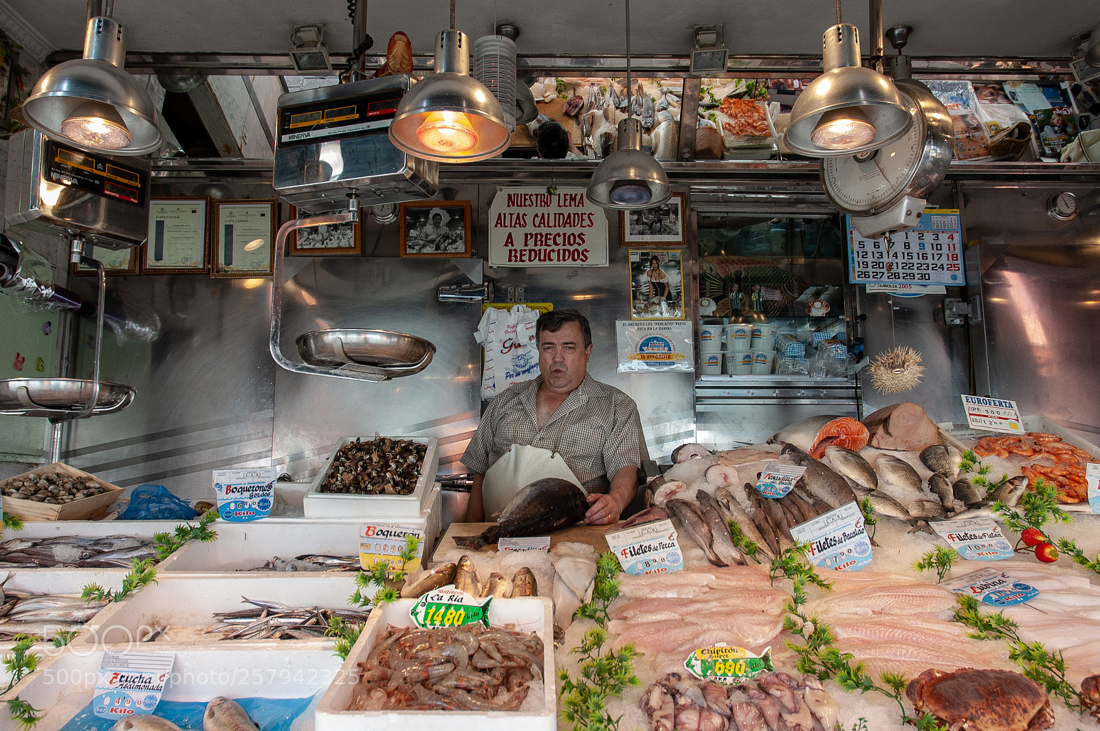 Nikon D70s sample photo. Behind the counter: fish photography