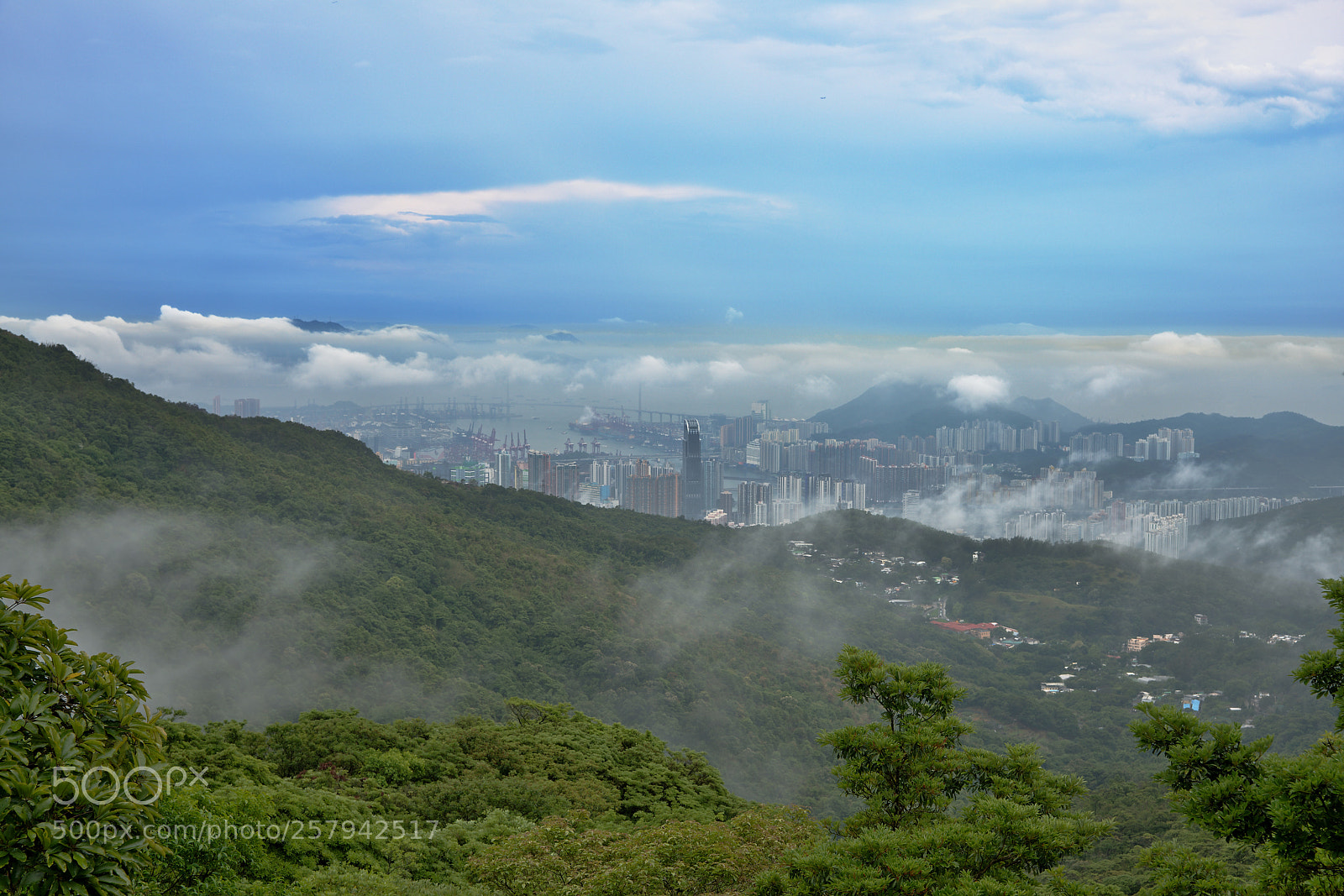 Sony a99 II sample photo. Dsc photography