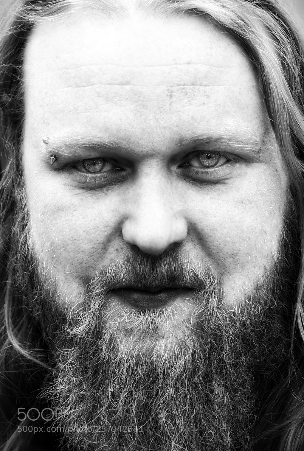 Nikon D700 sample photo. Danishviking photography
