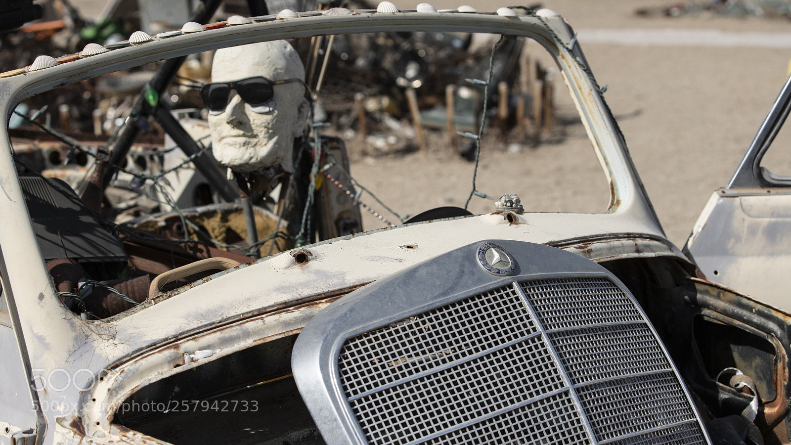 Sony a7R III sample photo. Palmsprings photography