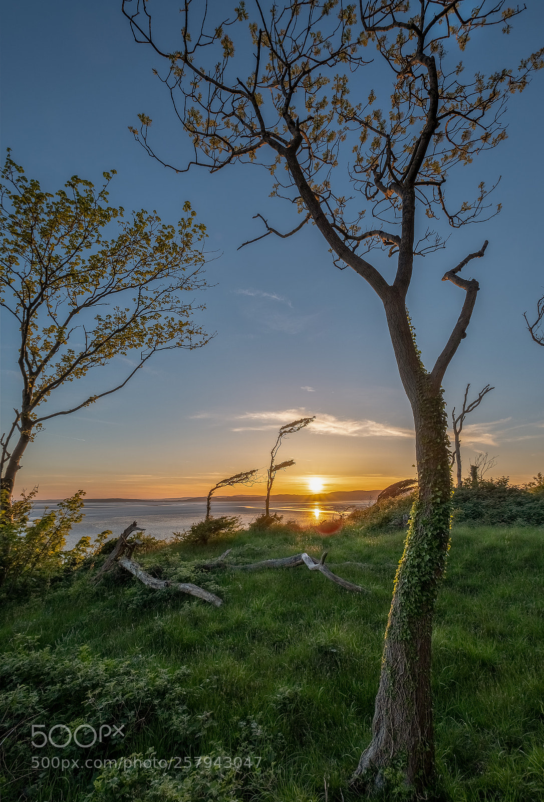 Fujifilm X-T2 sample photo. Silverdale sunset photography