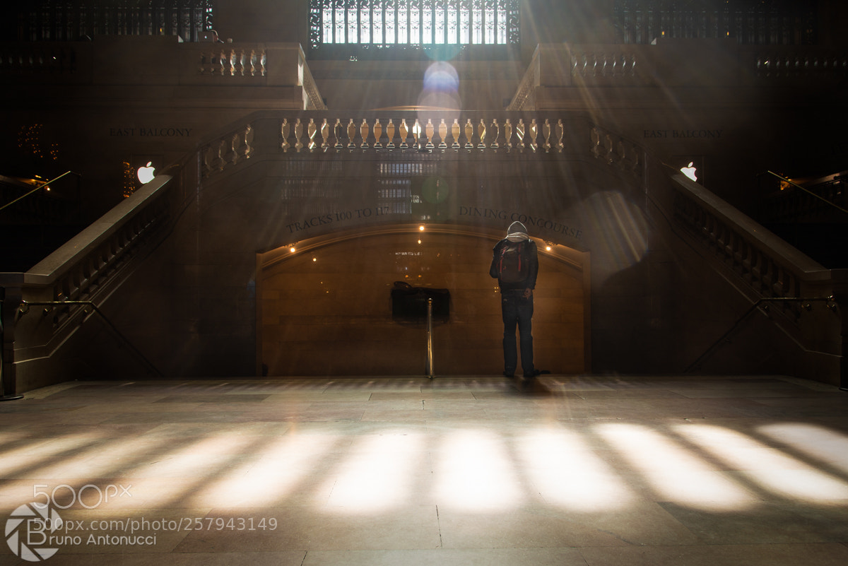 Nikon D610 sample photo. Grand central photography