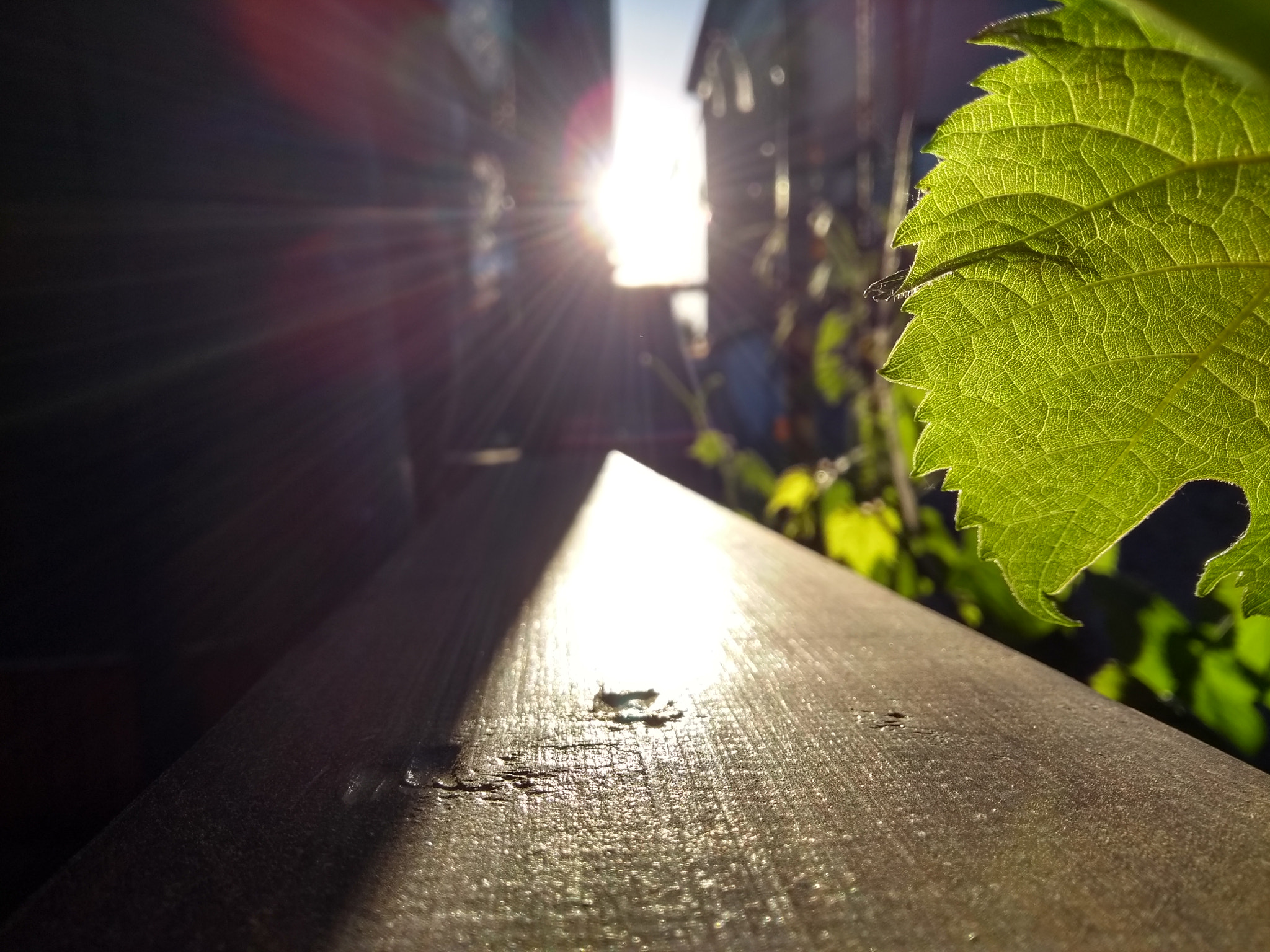Motorola Moto G (5th Gen) sample photo. Skačany 5-18-2 photography