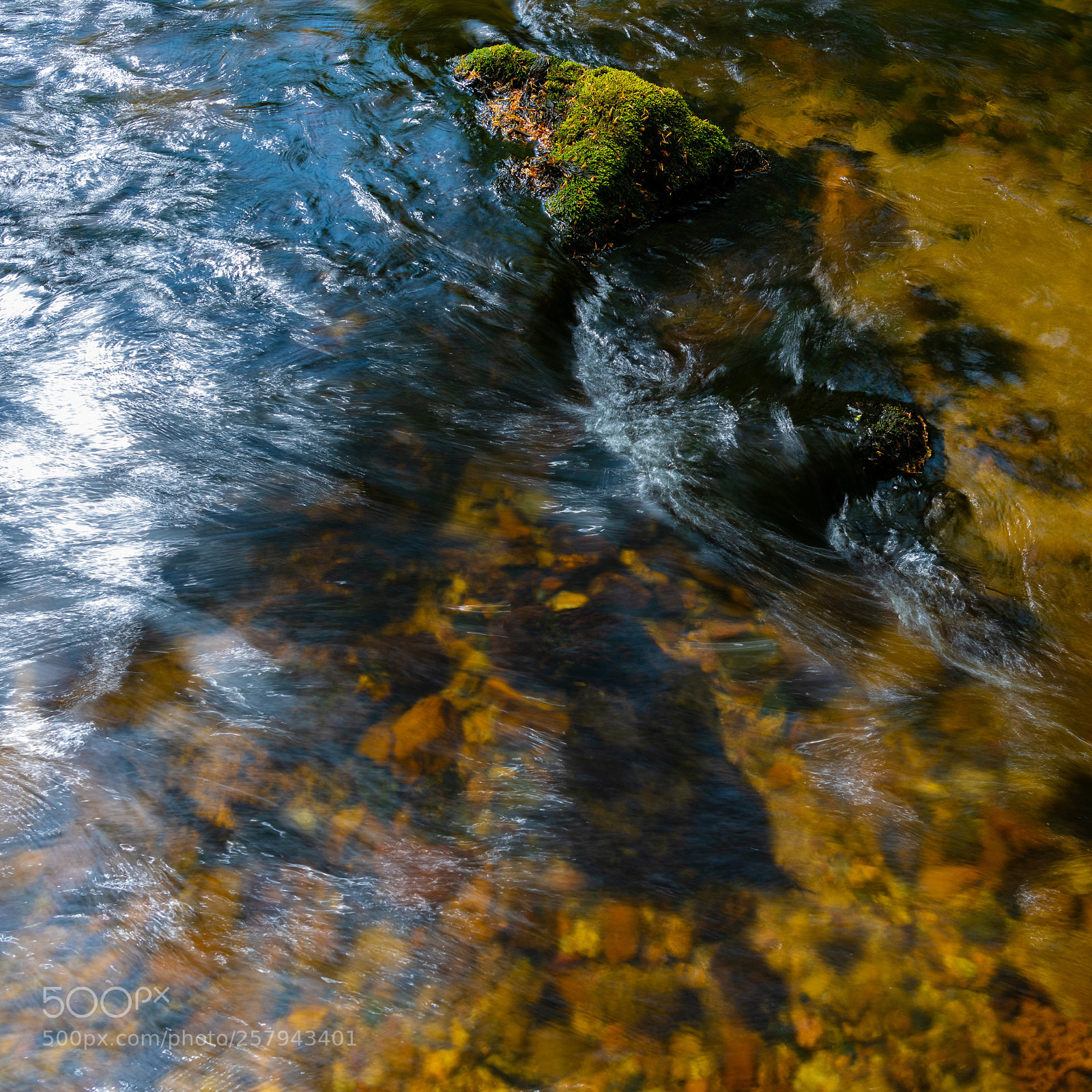 Nikon D810 sample photo. Golitha project 2018 photography