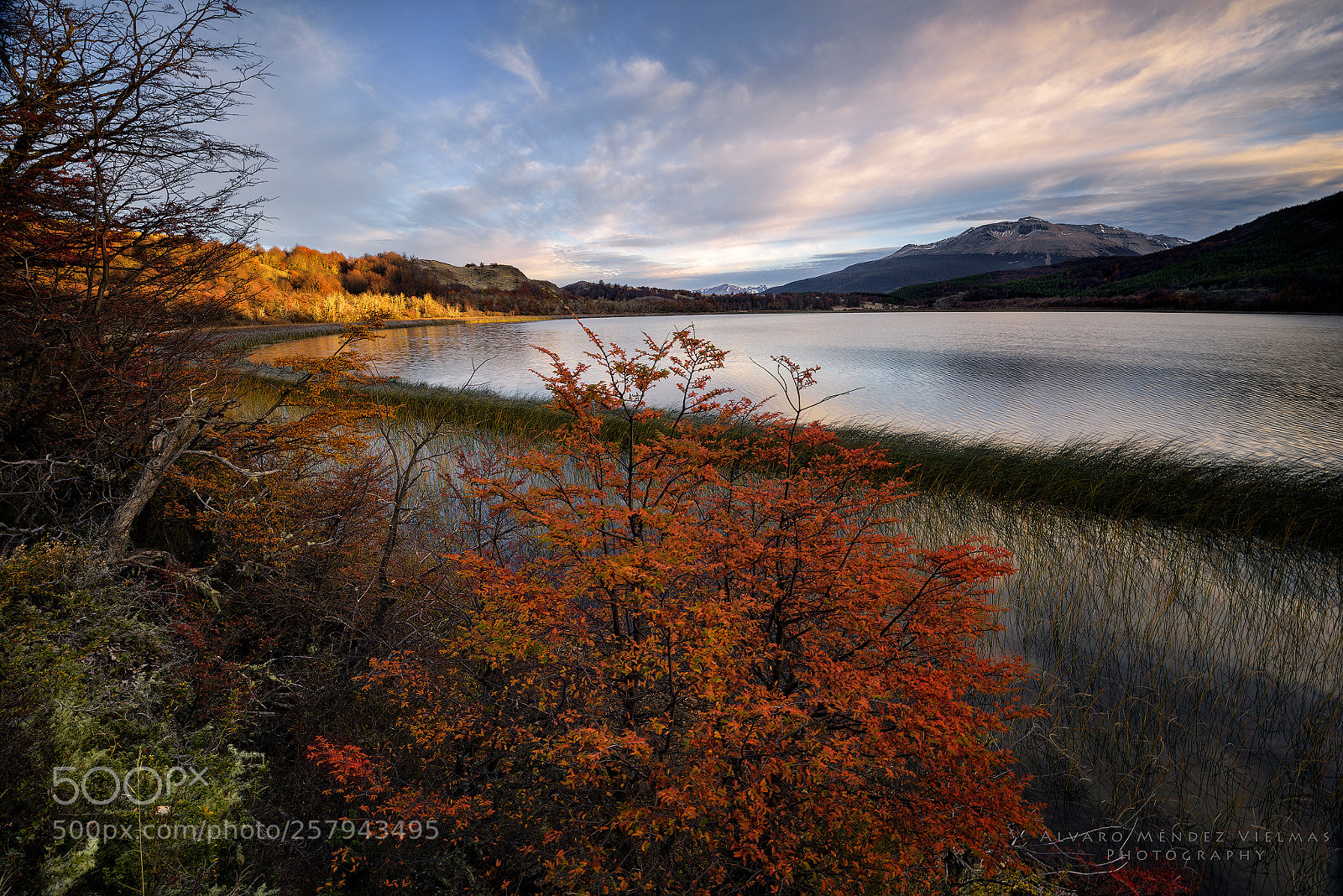 Nikon D810 sample photo. Still in autumn photography