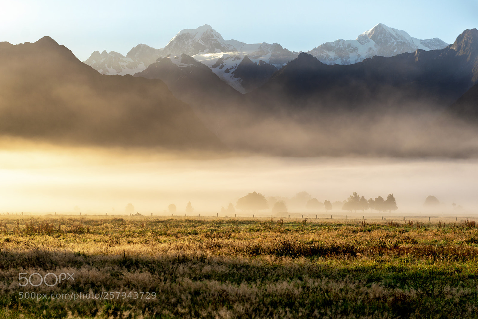Nikon D800 sample photo. Morning glory photography