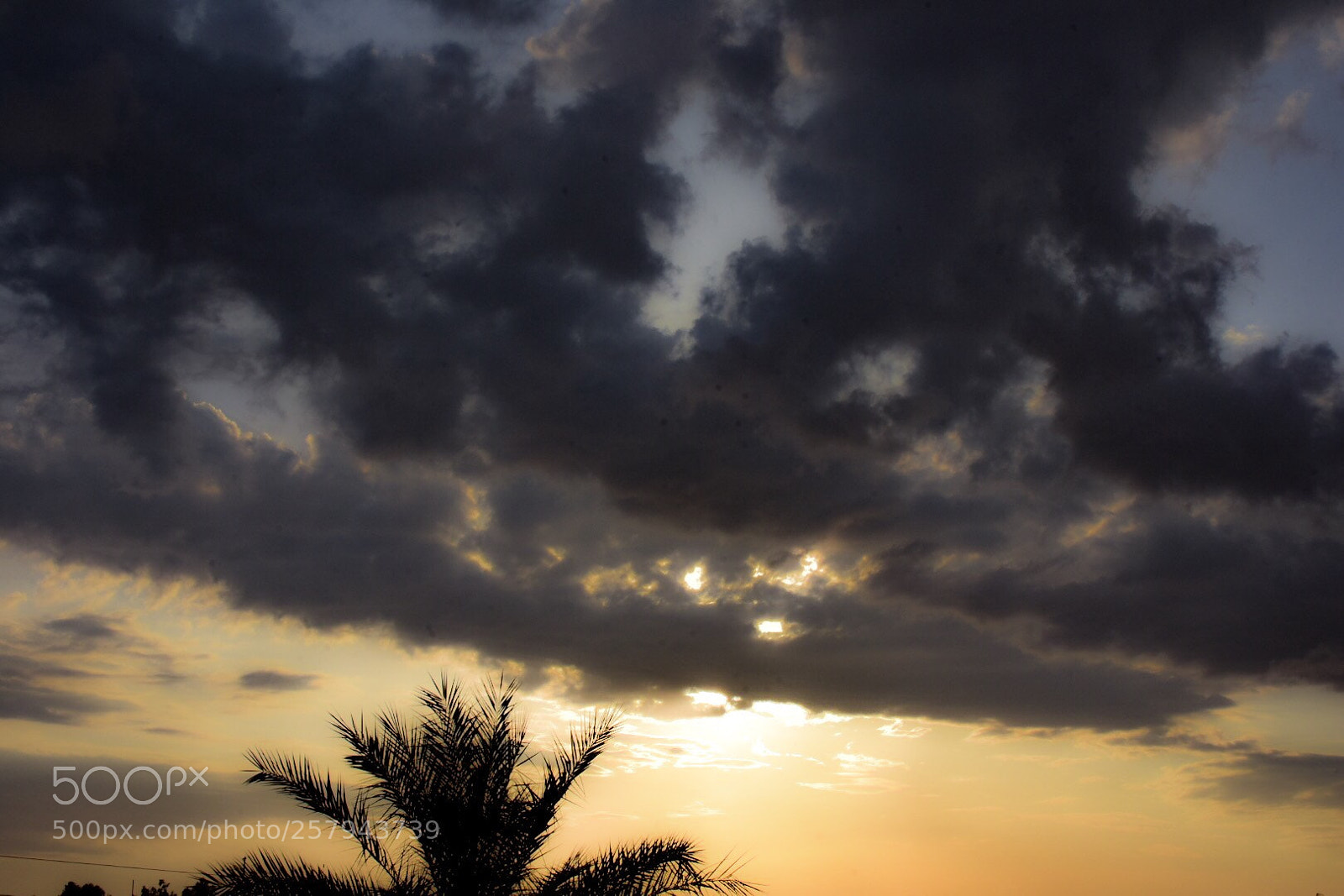 Nikon D7200 sample photo. Untitled photography