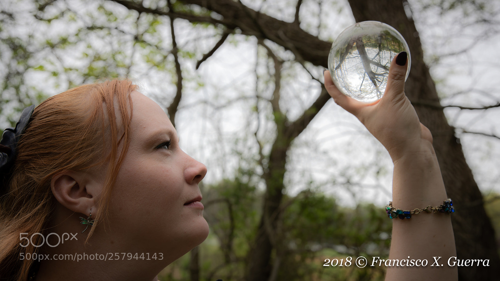Canon EOS-1D X Mark II sample photo. 2018 - spoutwood may photography