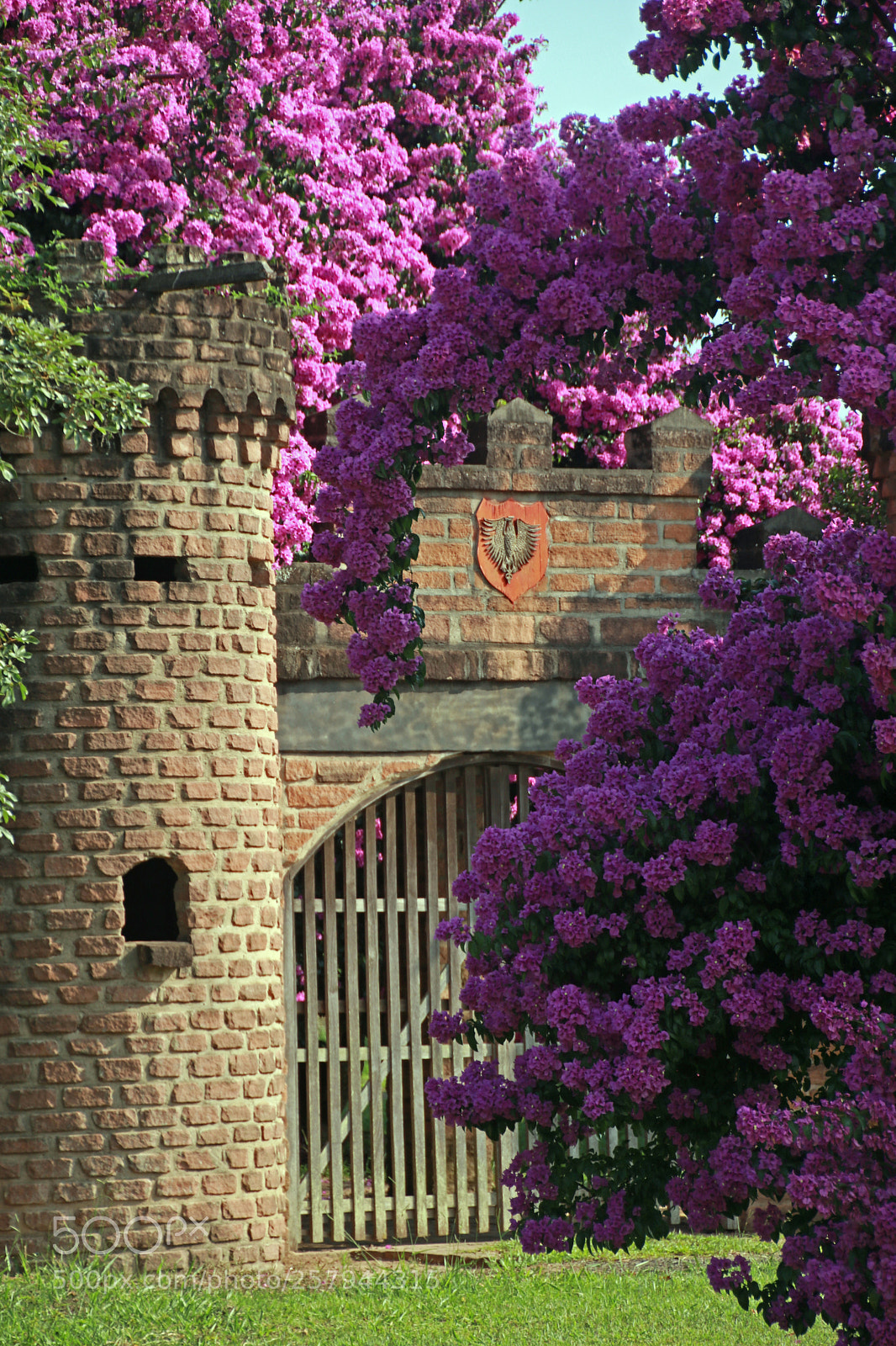 Canon EOS 80D sample photo. Castle and flowers photography