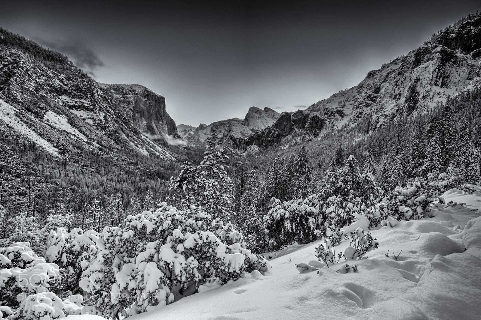 Sony a7R II sample photo. Winter yosemite march 2018. photography