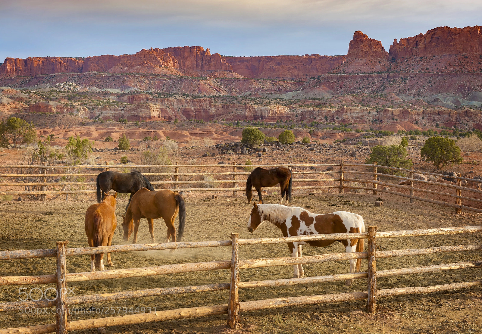 Nikon D700 sample photo. Capitol reef, utah trail photography