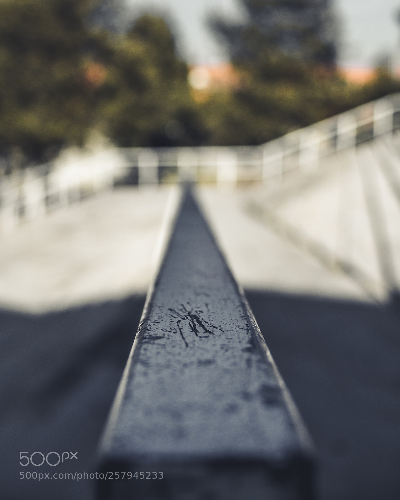 Olympus OM-D E-M10 III sample photo. The bokeh... photography
