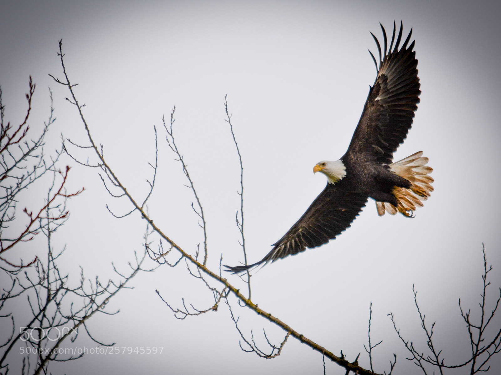 Nikon D5200 sample photo. Untitled photography