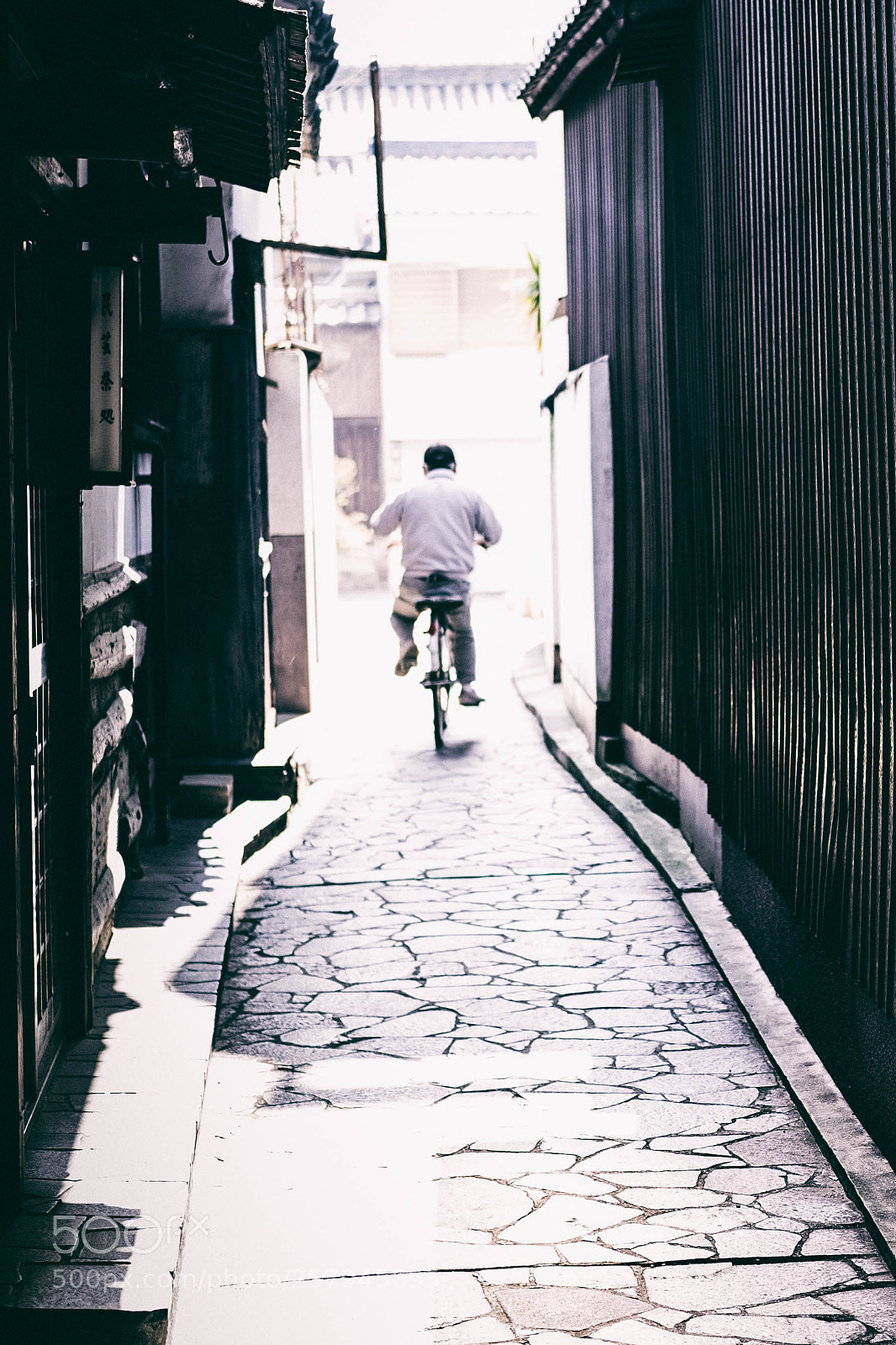 Fujifilm X-T10 sample photo. Into the light photography