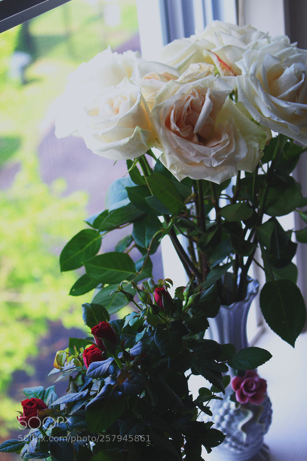 Canon EOS 700D (EOS Rebel T5i / EOS Kiss X7i) sample photo. Untitled photography