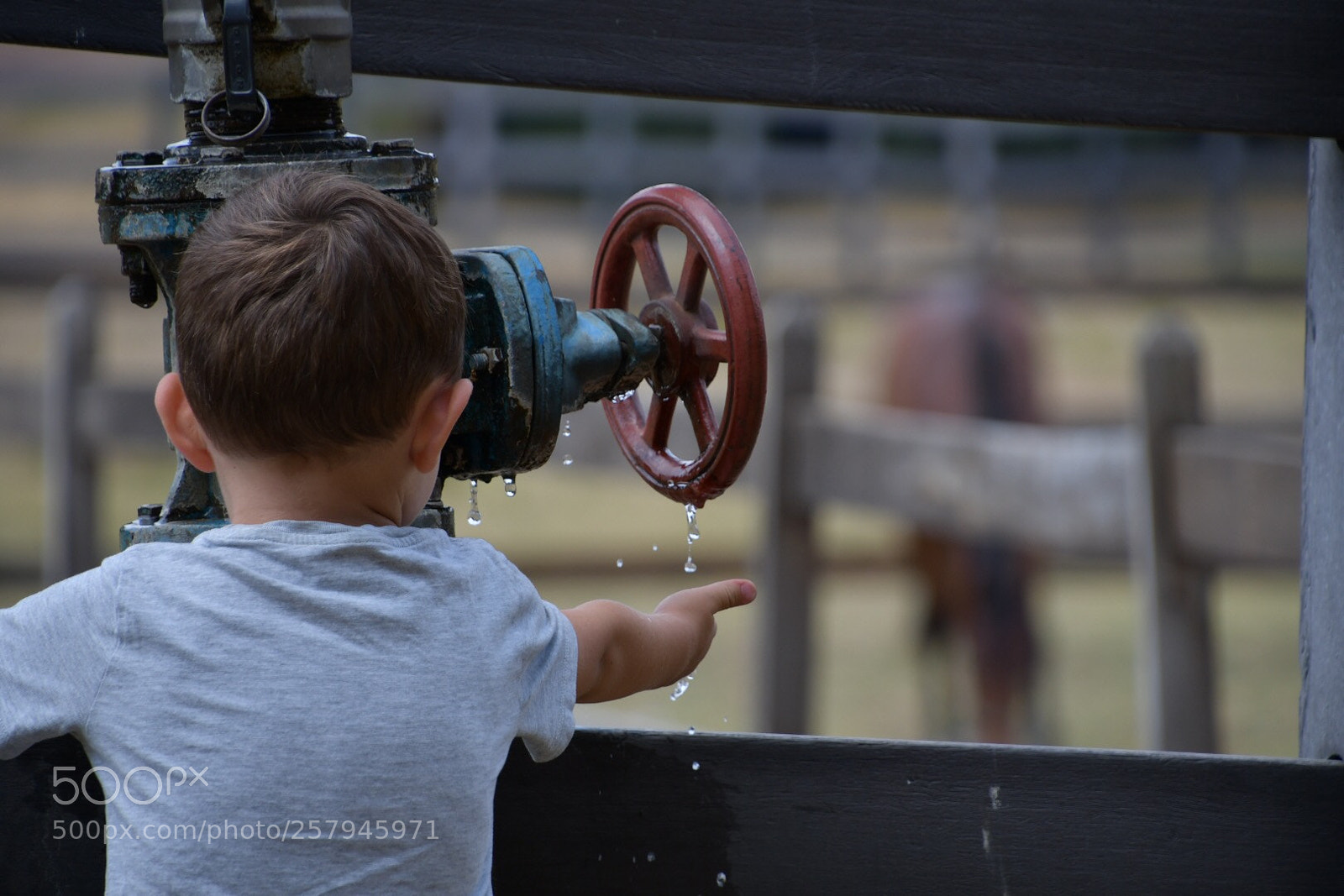 Nikon D7500 sample photo. Sentido de gota photography
