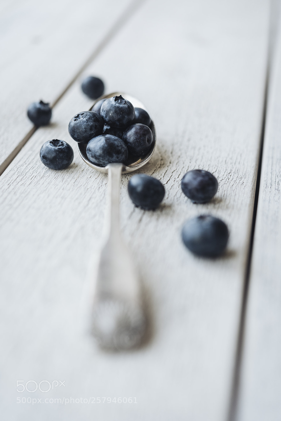 Nikon D810 sample photo. Berry blue photography