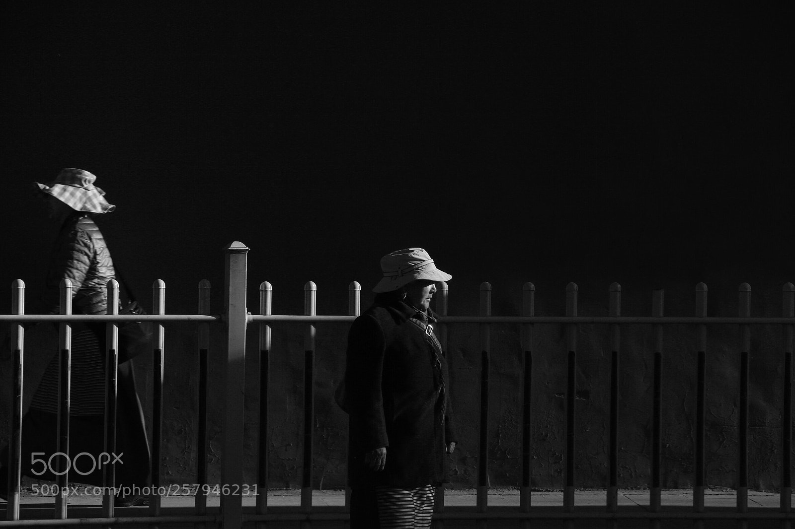 Canon EOS 7D Mark II sample photo. Untitled photography