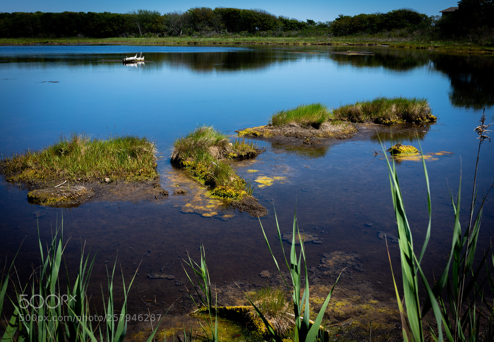 Sony a7R II sample photo. Quiet pond in maine photography
