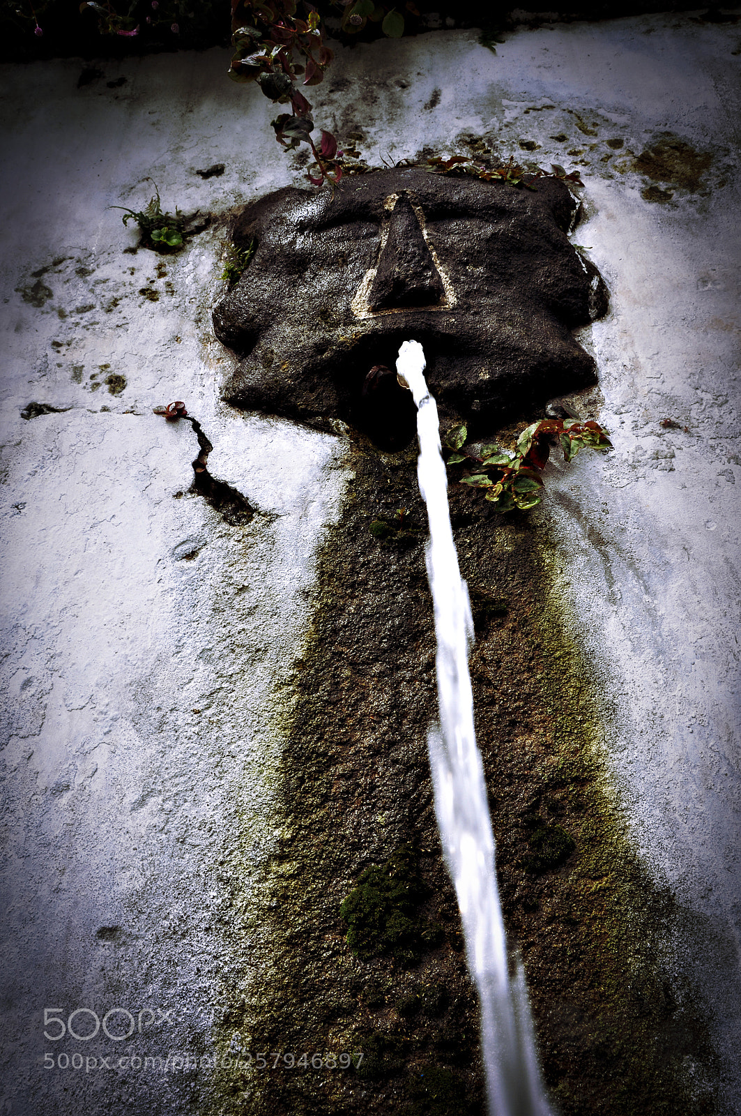Nikon D90 sample photo. Horse fountain photography
