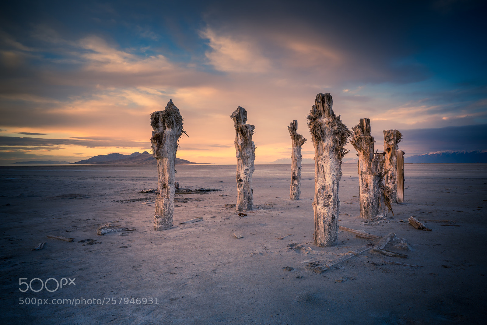 Sony a7R III sample photo. Sentinels photography