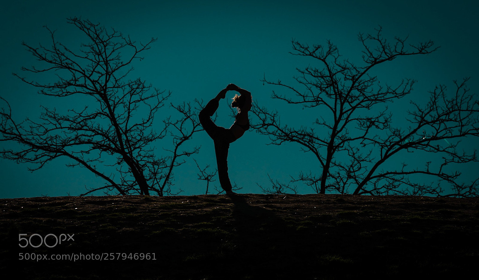 Nikon D610 sample photo. Untitled photography