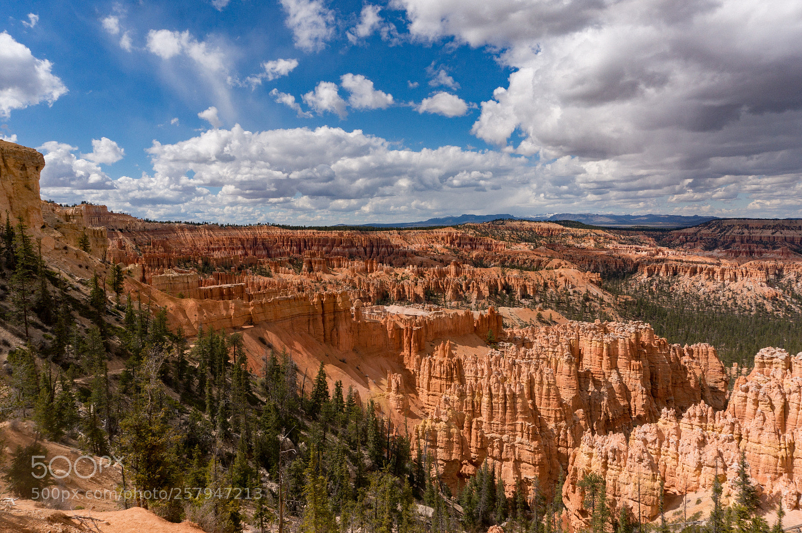 Sony Alpha NEX-6 sample photo. @ bryce canyon photography