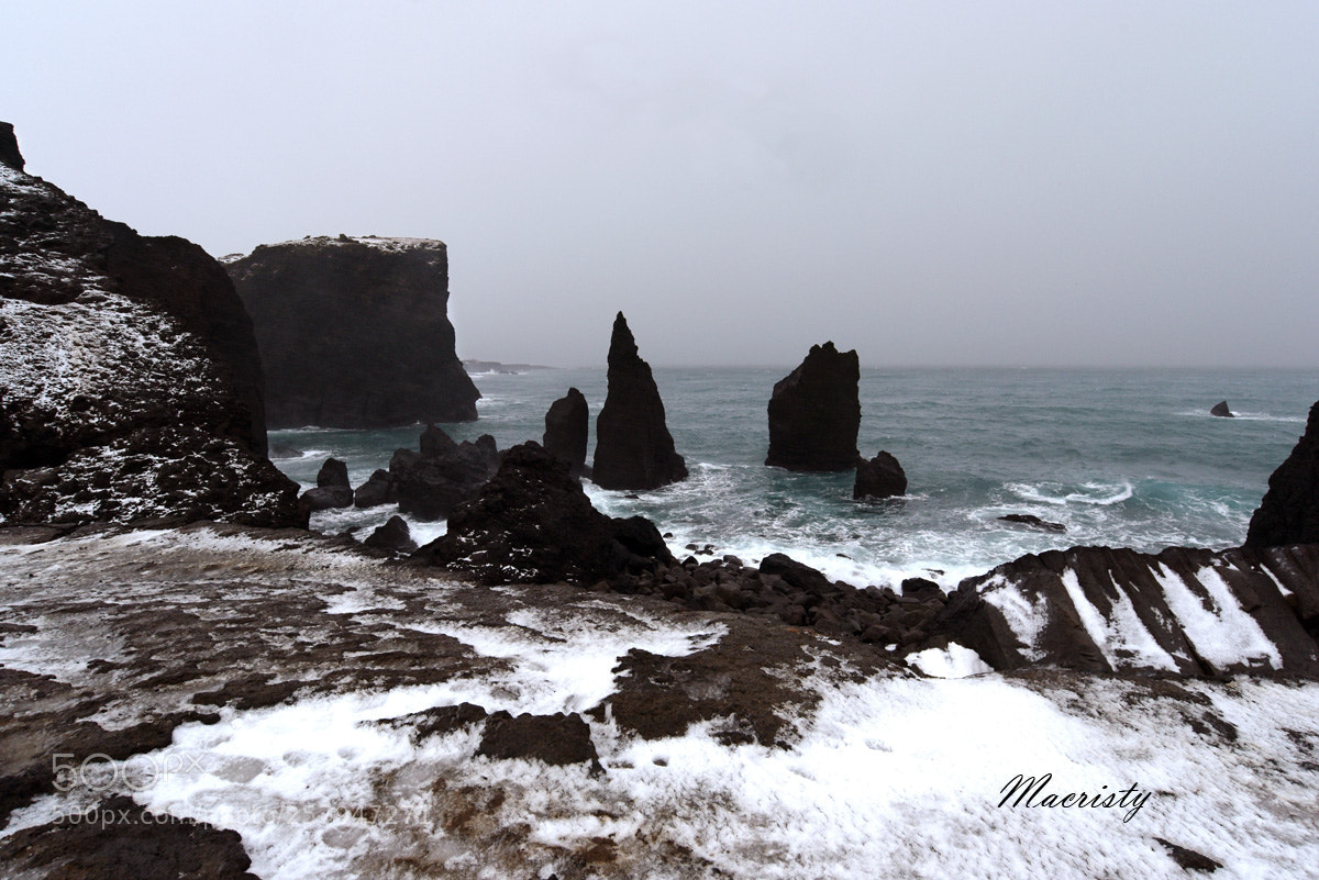 Nikon D750 sample photo. C photography