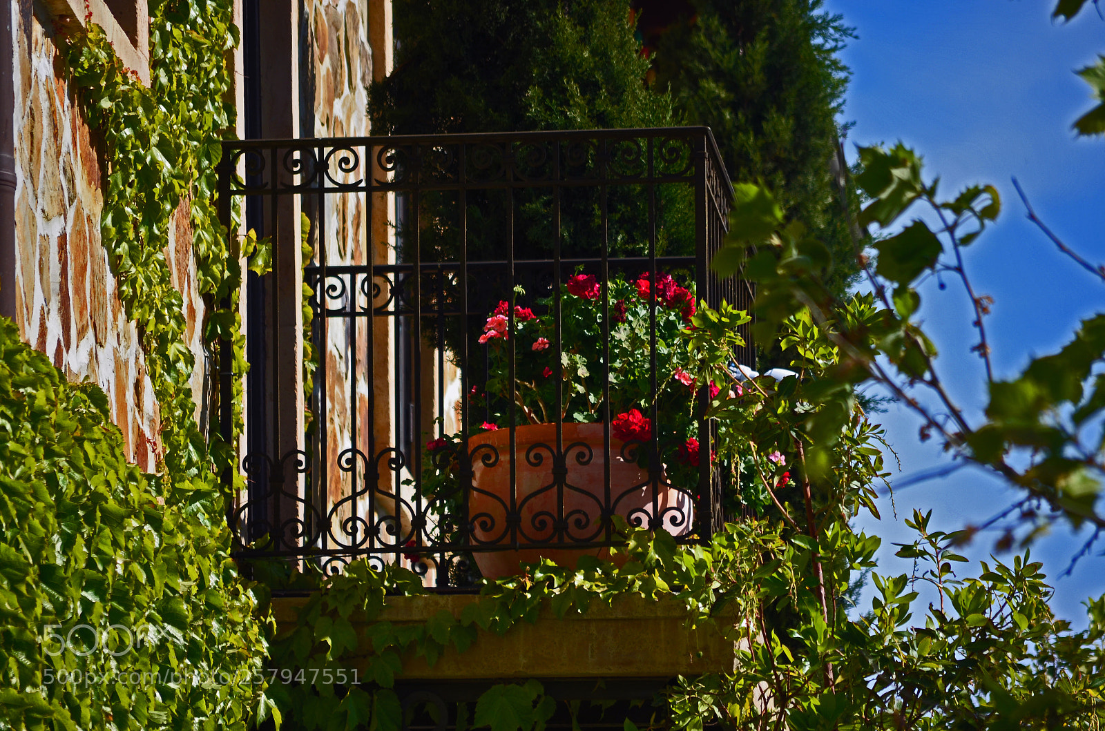 Nikon D5100 sample photo. Flowers on the balcony photography