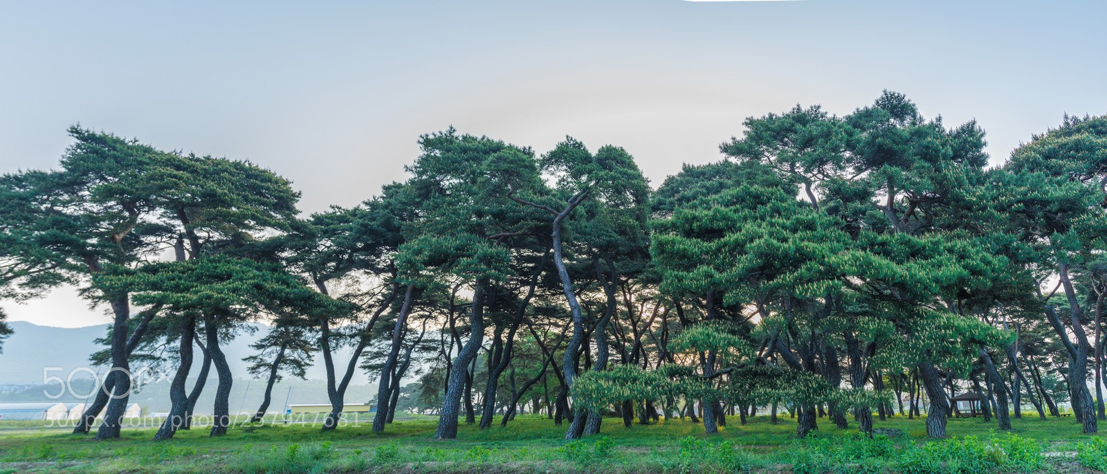 Canon EOS 5D Mark IV sample photo. 자연 photography