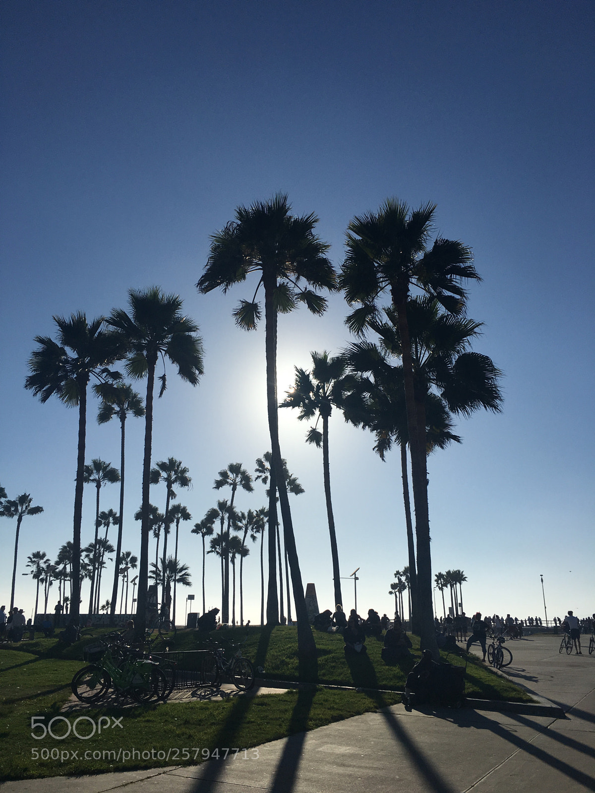 Apple iPhone 6s sample photo. Lazy afternoon photography