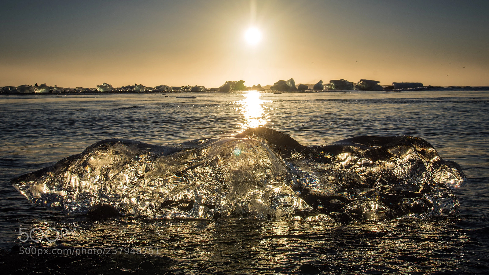 Nikon D7200 sample photo. Golden ice photography