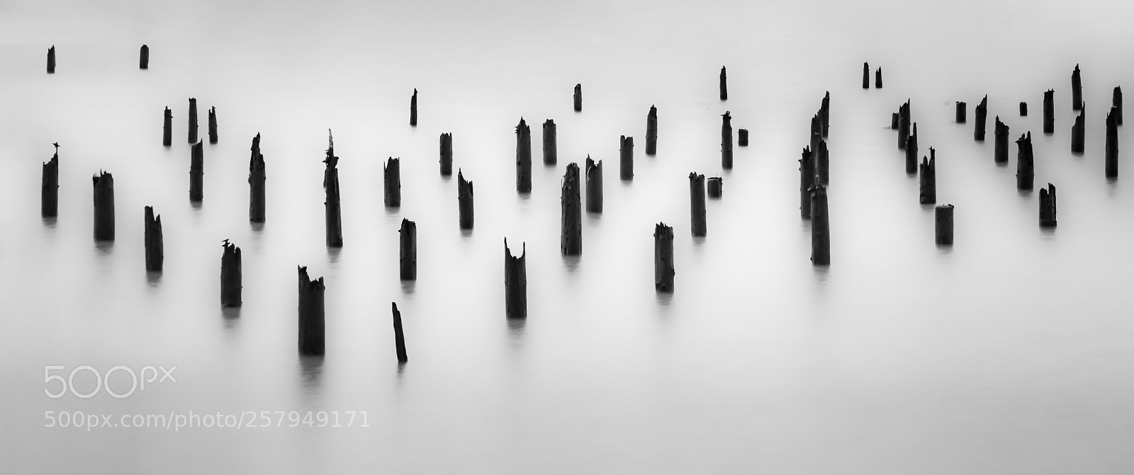 Nikon D7000 sample photo. Pilings on the bay photography