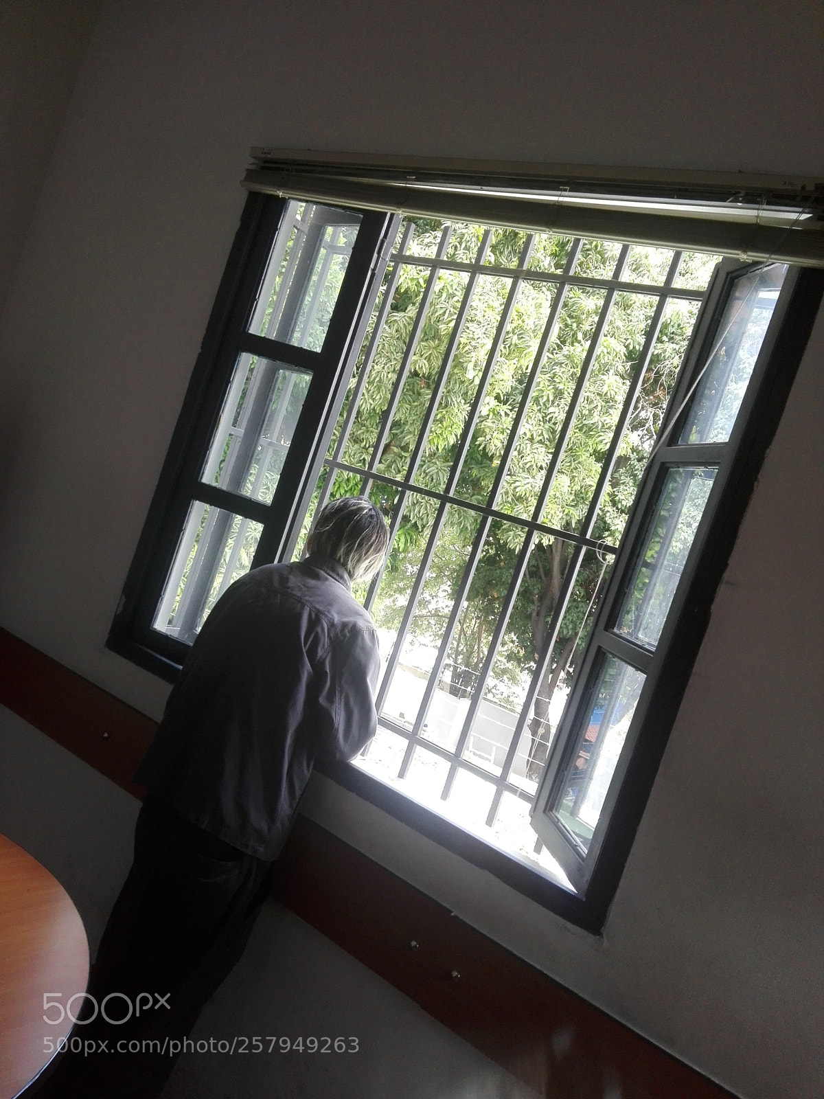 HUAWEI P8 Lite sample photo. The window photography