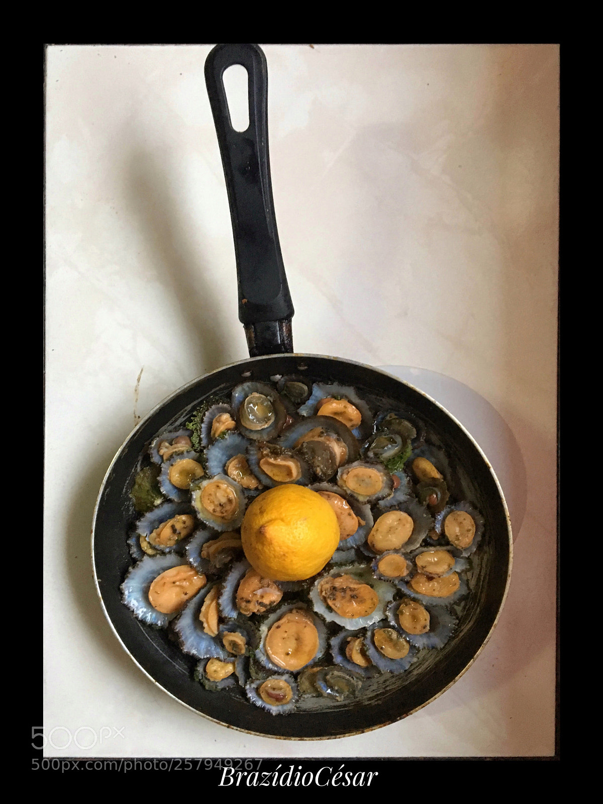 Apple iPhone 6s sample photo. Untitled photography