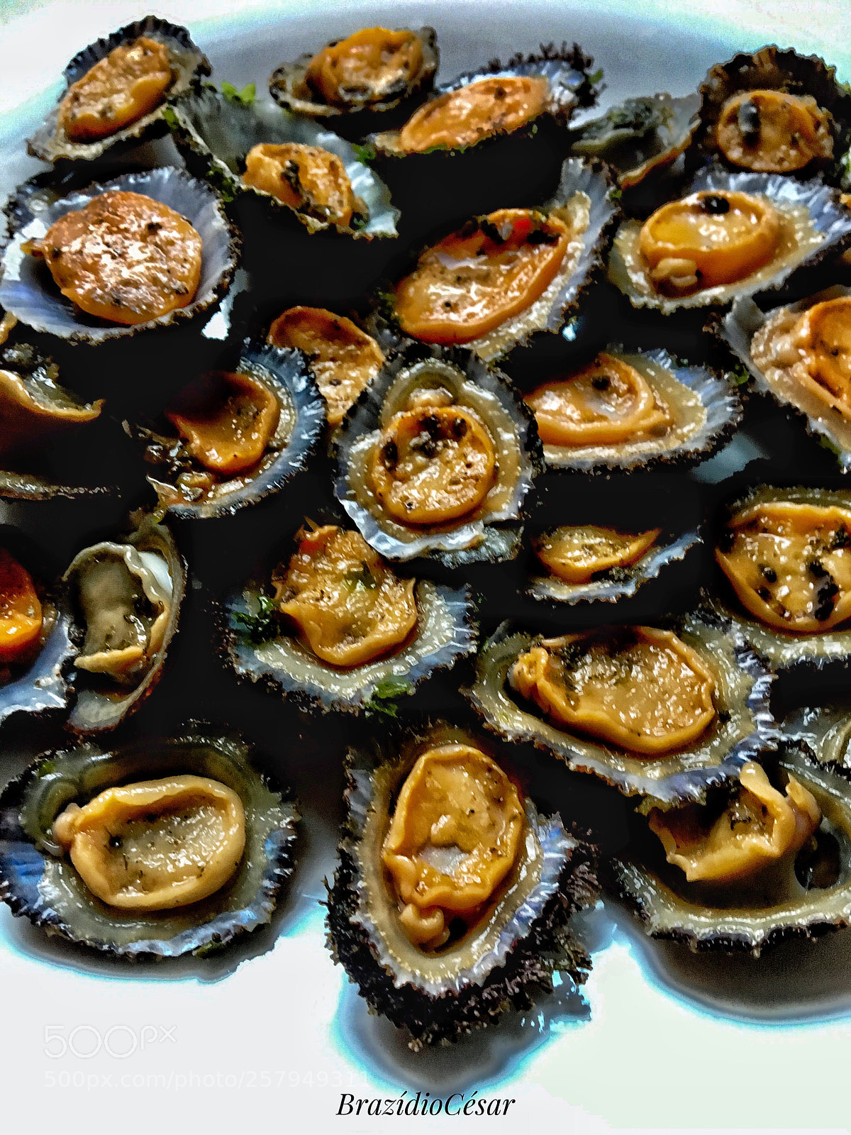 Apple iPhone 6s sample photo. Fresh limpets  photography