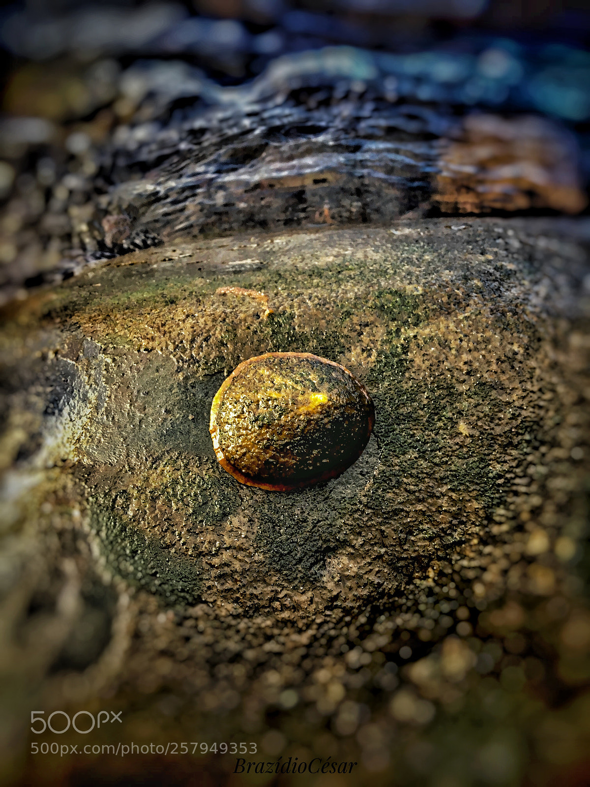 Apple iPhone 6s sample photo. Untitled photography