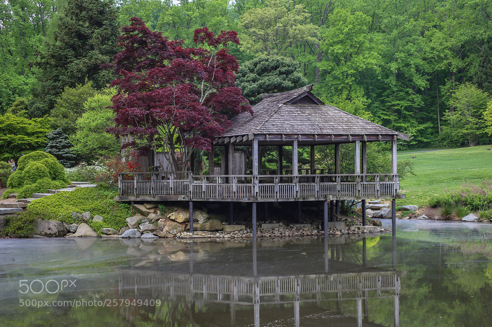 Canon EOS 6D sample photo. Botanical garden beauty photography