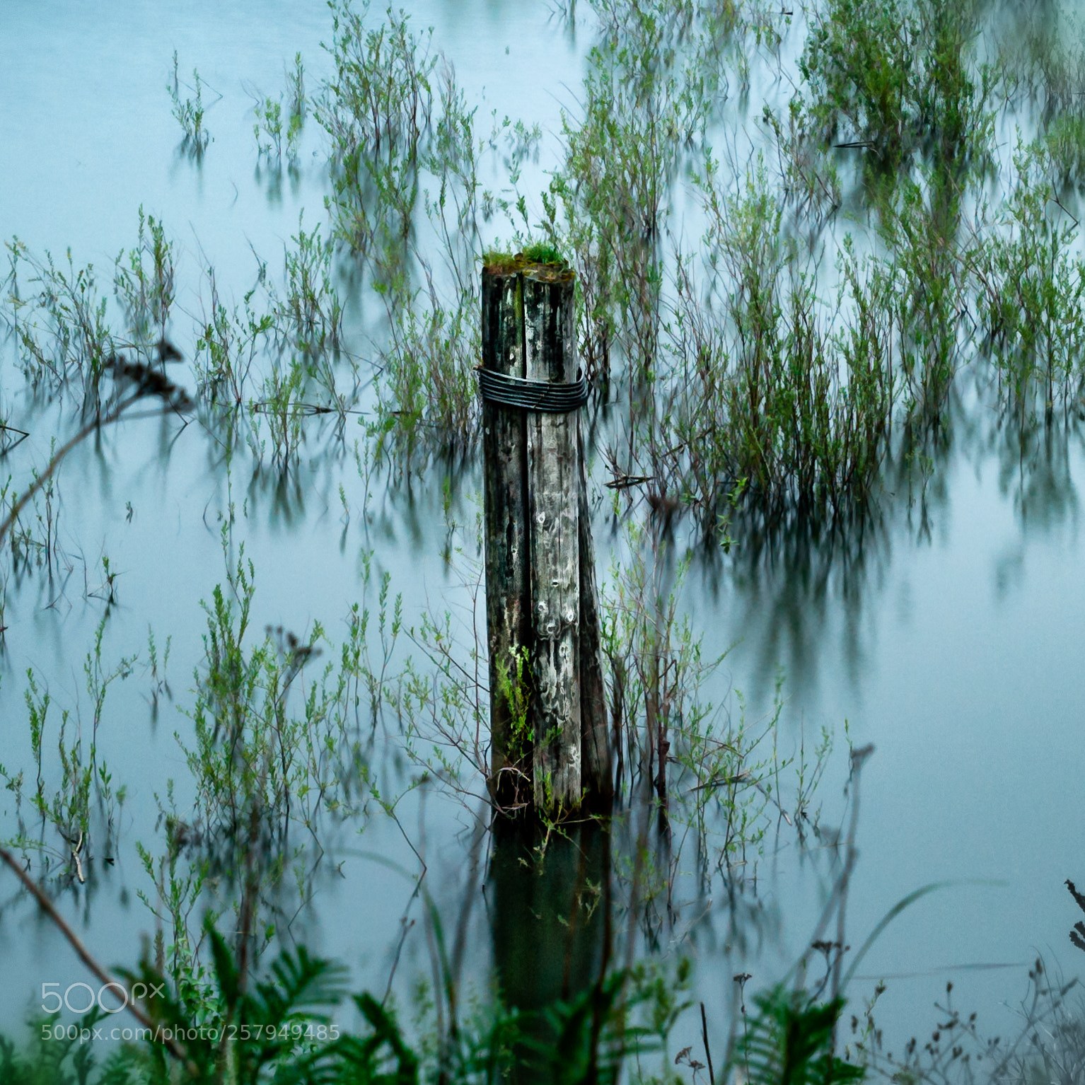 Nikon D3S sample photo. Piller in blue and photography