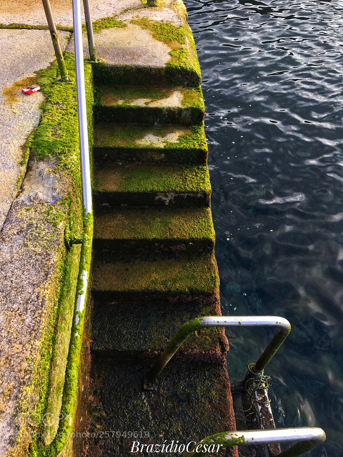 Apple iPhone 6s sample photo. Untitled photography