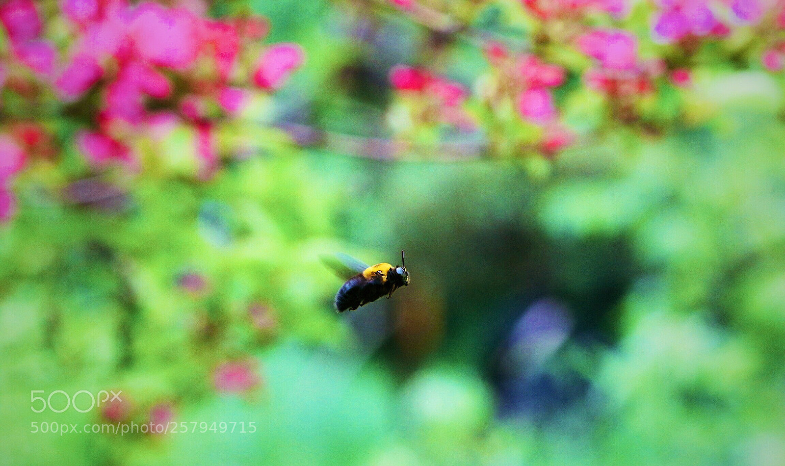 Canon EOS 7D Mark II sample photo. Untitled photography