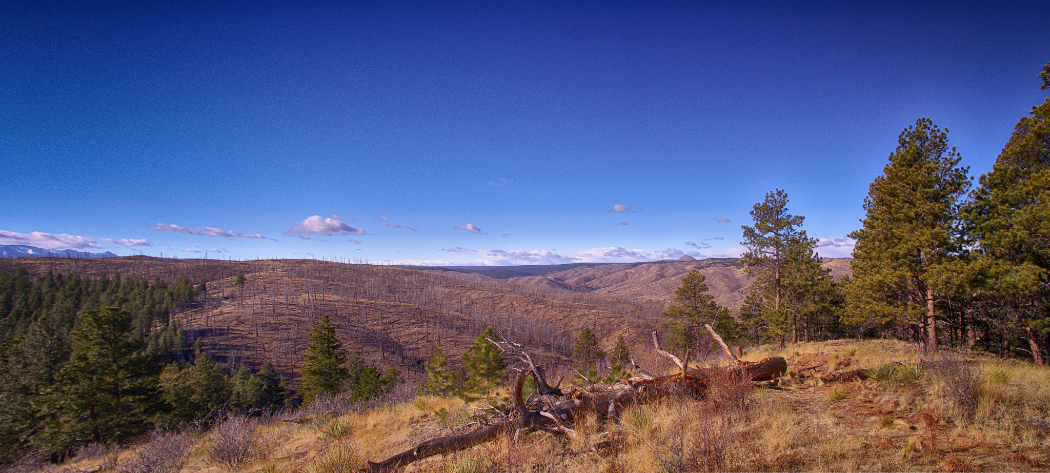 Pentax K-5 IIs sample photo. Untitled panorama 270 photography