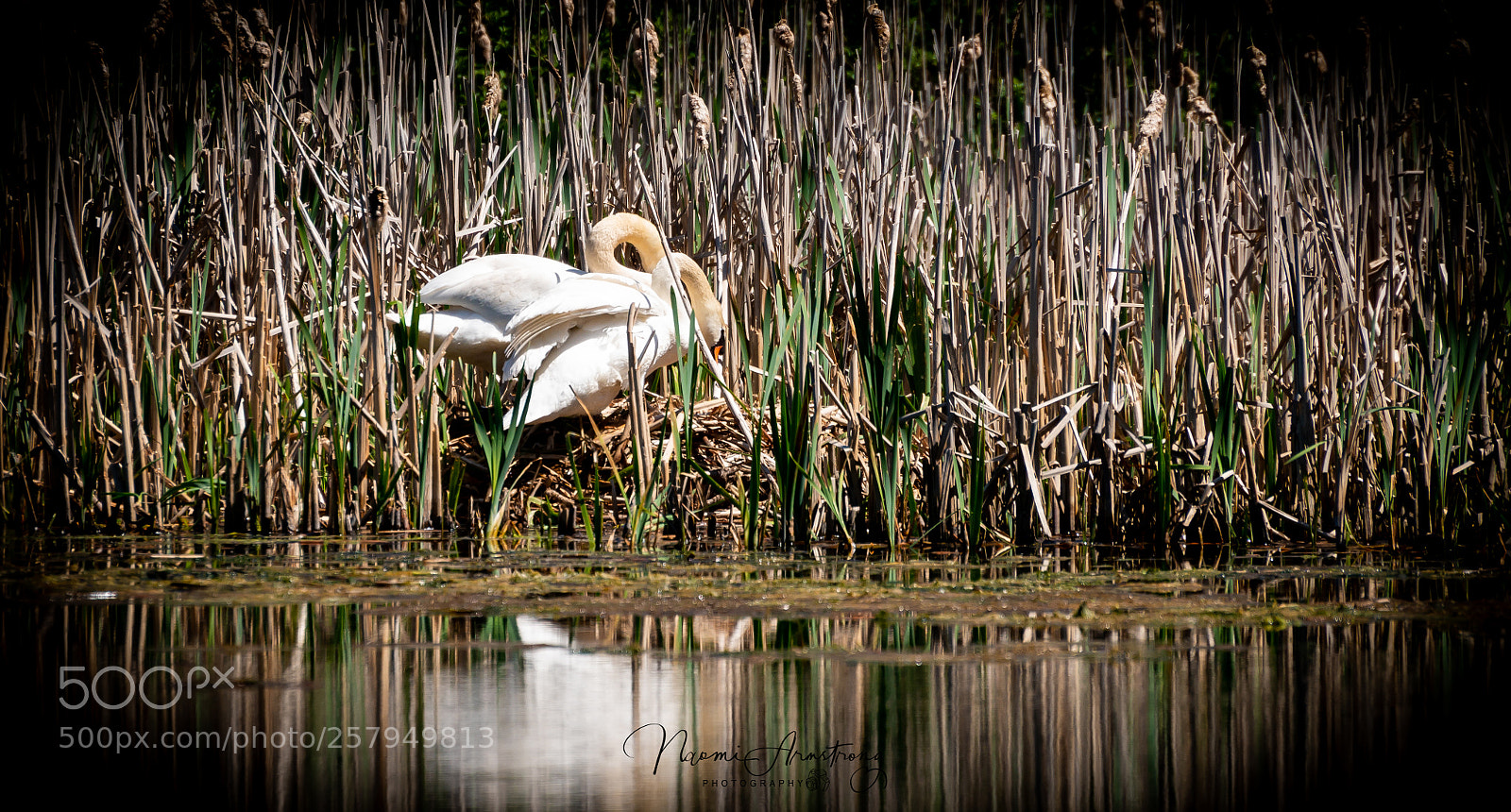 Nikon D800 sample photo. Nothing yet moma photography