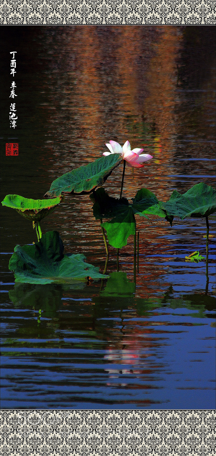Canon EOS 7D sample photo. 荷顏悅色 photography