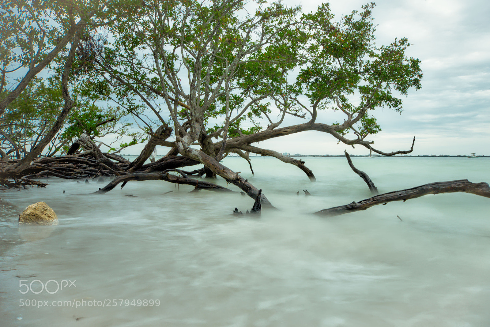 Nikon D600 sample photo. Serenity on sanibel photography