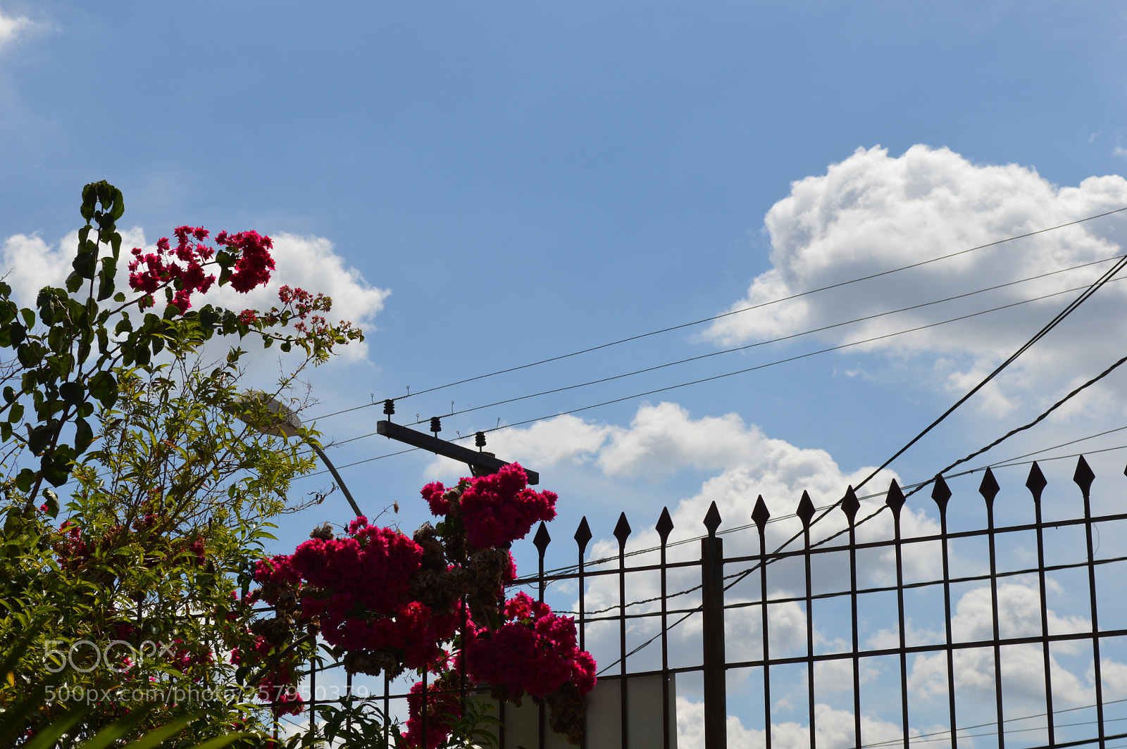 Nikon D3200 sample photo. Untitled photography